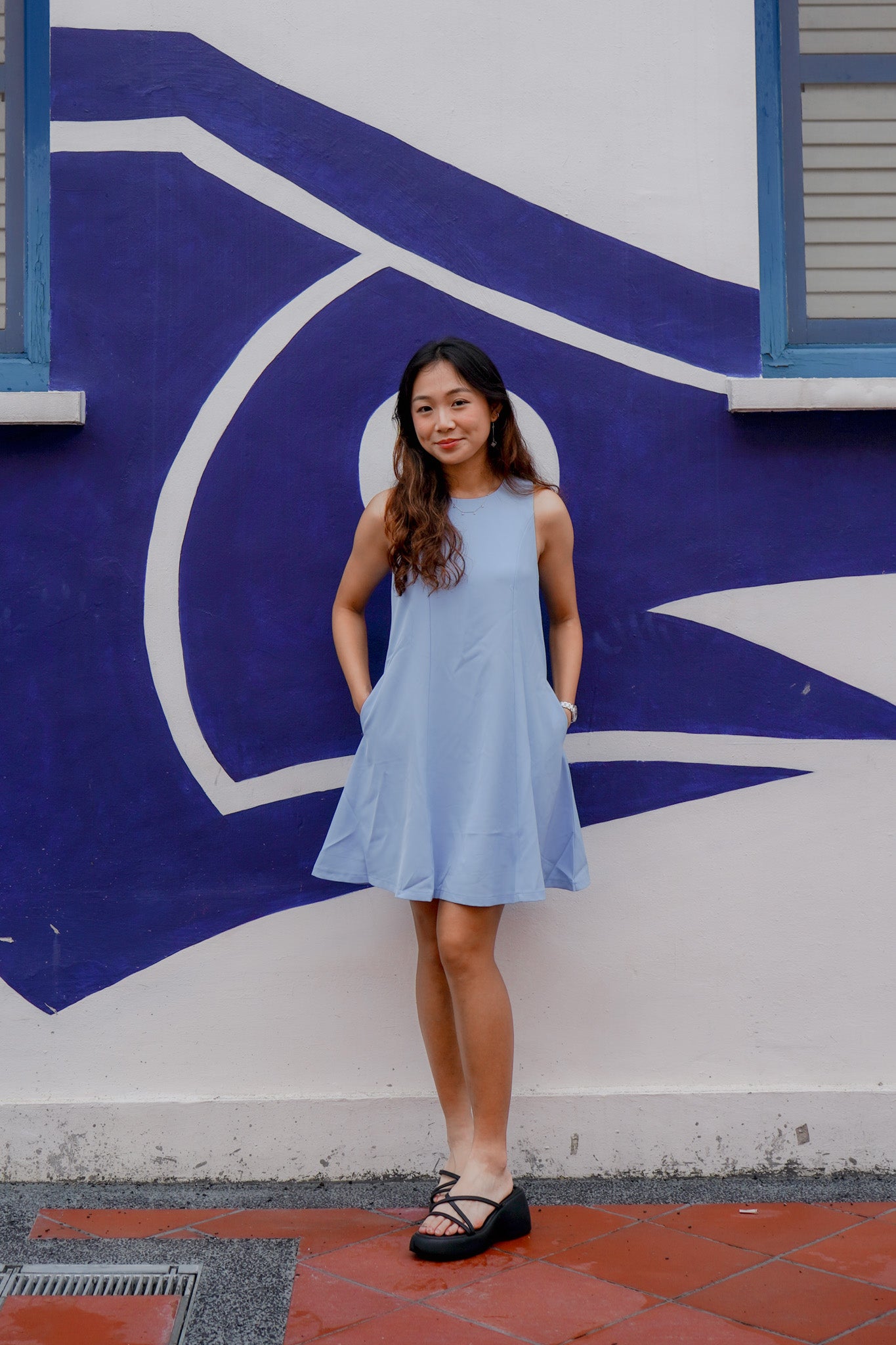Charlotte Simple Sleeveless Swing Dress