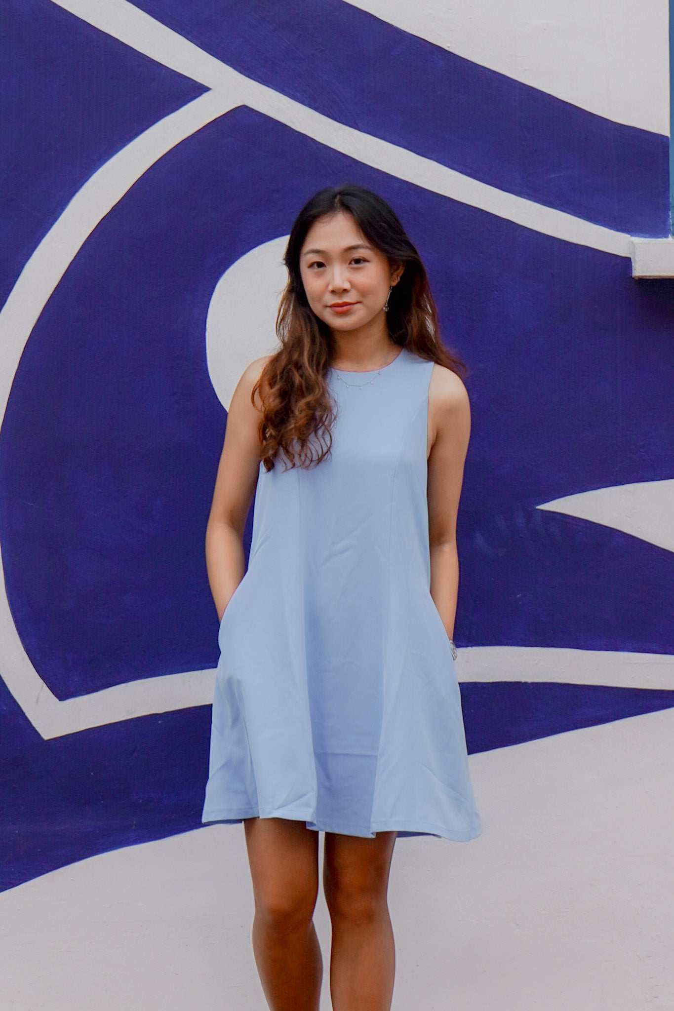 Charlotte Simple Sleeveless Swing Dress