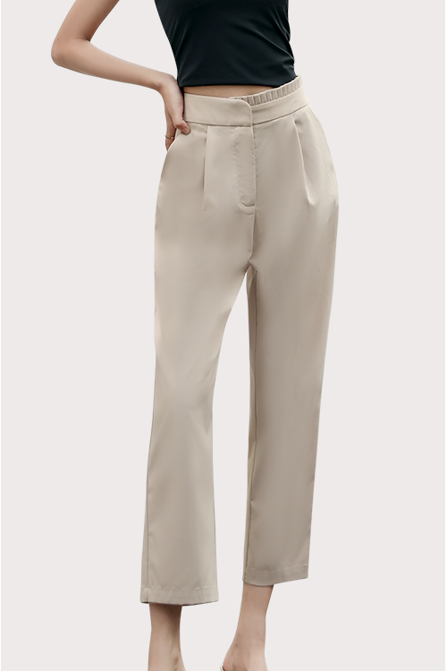 Half-Pleated High Waisted Straight Cut Tan Pants