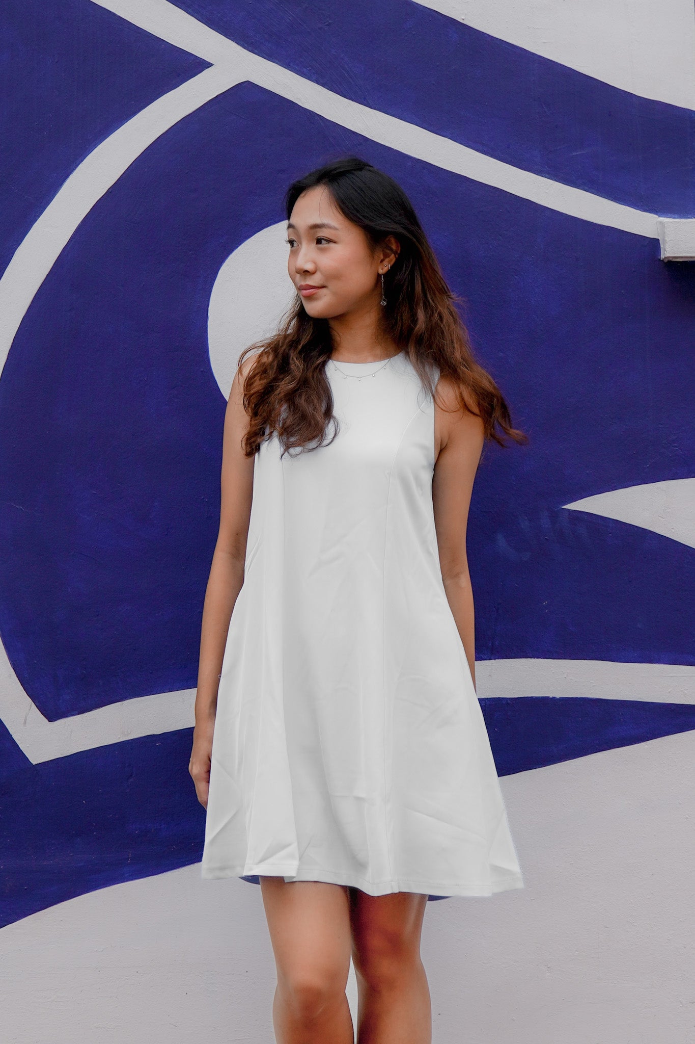 Charlotte Simple Sleeveless Swing Dress
